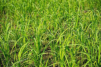 《异星工厂》公布新DLC《Space Age》 追加火箭发射后玩法